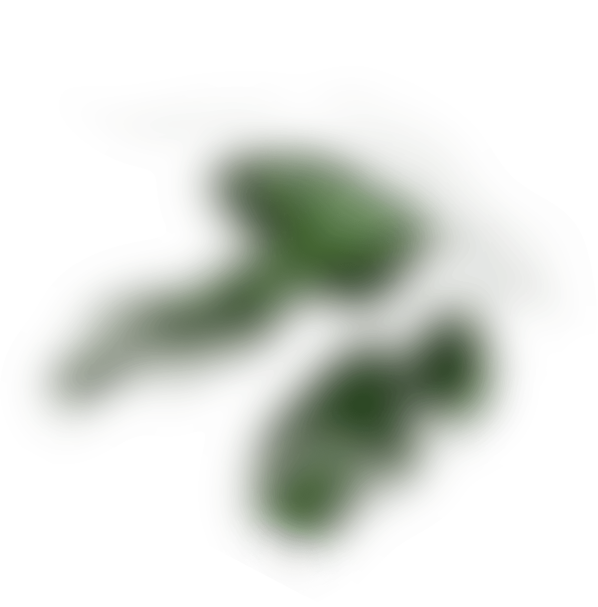 Miso (Smile) Acupuncture Oriental Wellness Acupuncture Clinic Therapy